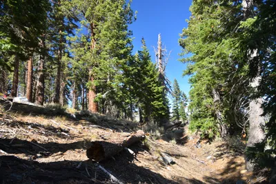 DSC_7829 (Large).JPG